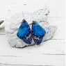 Blue Butterfly Wing Earrings of Transparent Resin